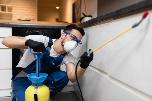 Best Bed Bug Extermination  in Genesee, CO