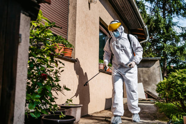 Best Rat Extermination Near Me  in Genesee, CO