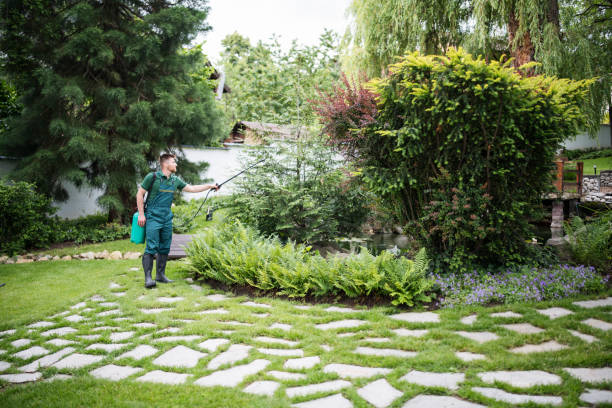 Best Residential Pest Control  in Genesee, CO