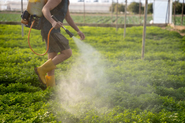 Best Pest Prevention Services  in Genesee, CO