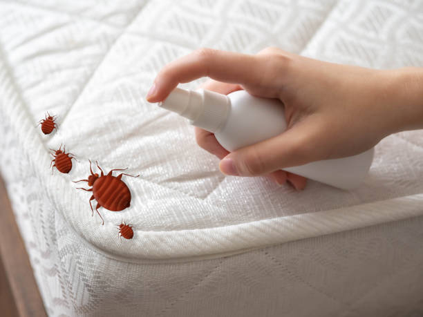 Best Bed Bug Extermination  in Genesee, CO