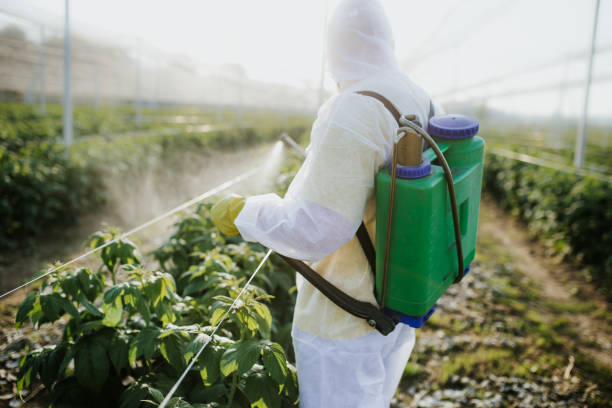 Pest Prevention Services in Genesee, CO